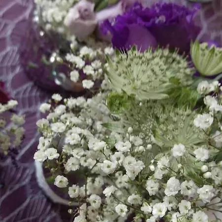 Linden & Wildkraeuterhotel 3* Windelsbach