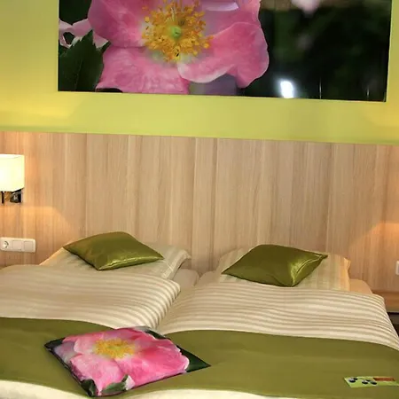 Linden & Wildkraeuterhotel 3*